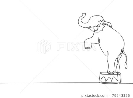 Single one line drawing of an elephant stands on a circus chair with its forelegs raised. Very good performance and successful circus show. Continuous line draw design graphic vector illustration. 79343336