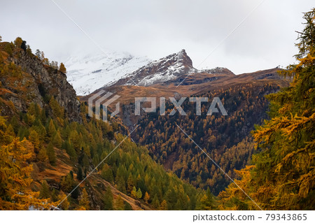 View of landscape snow alp mountain in autumn at swiss in snow storm day 79343865