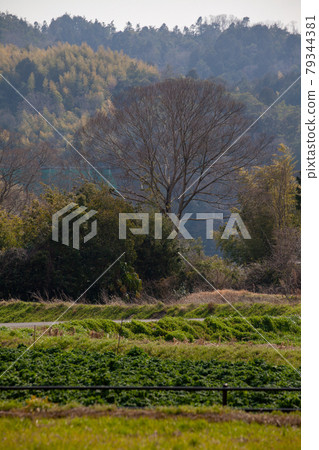 Rural landscape Rural landscape 79344381