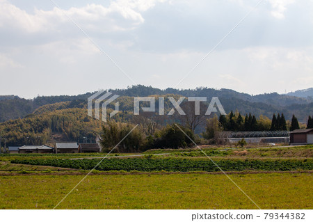 Rural landscape Rural landscape 79344382
