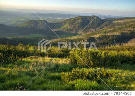 Afternoon view from Boczan. Western Tatras. Afternoon view from Boczan. Western Tatras. 79344565