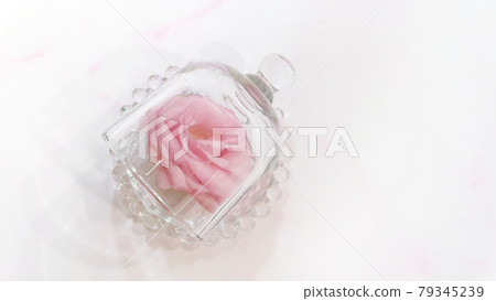 Beautiful pink flower within a bell-shaped glass jar. Top view. With copy space on the right. 79345239