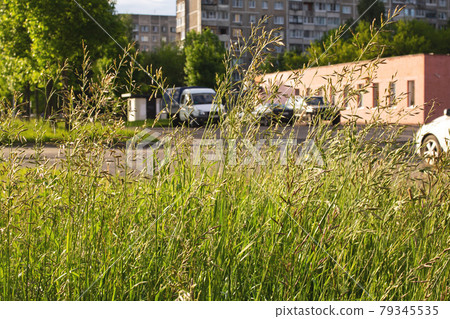 Green grass on background of road and cars 79345535