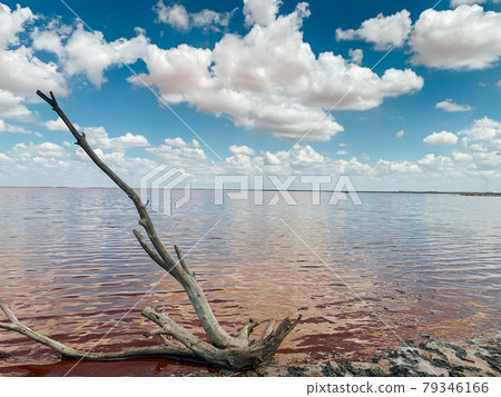 beautiful landscape of salt lake with rose water and blue sky beautiful landscape of salt lake with rose water and blue sky 79346166