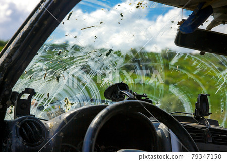 windshield view from the interior of a car through a window covered with a layer of dried swamp after driving off-road on a sunny day, dirty car inside. 79347150
