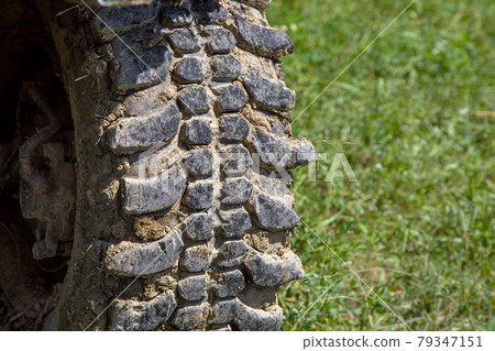 car tire with a deep tread for off-road driving is dirty in a dry swamp with a clear shot against a background of green grass in defocus. car tire with a deep tread for off-road driving is dirty in a dry swamp with a clear shot against a background of green grass in defocus. 79347151