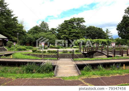 Nagai Ayame Park Nagai Ayame Park 79347456