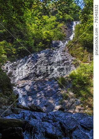 Shizuoka / Withered is more beautiful! ?? "Asahi Falls" that falls on columnar joints 79348832