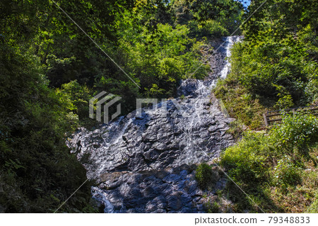 Shizuoka / Withered is more beautiful! ?? "Asahi Falls" that falls on columnar joints 79348833