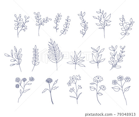 手繪花卉和植被線條藝術的插圖集 79348913