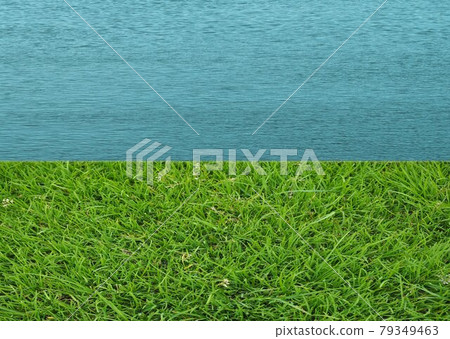 grass and water background 79349463