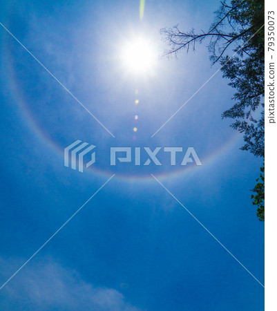 太陽，天空，自然 79350073