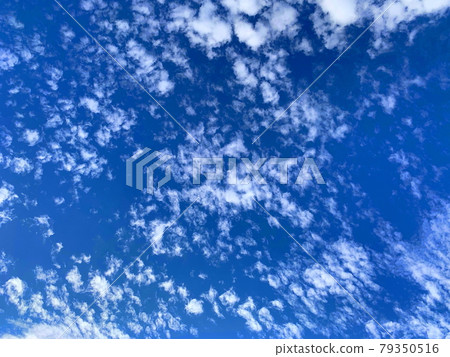 The blue sky in summer was very beautiful. It is a sheep cloud that appeared in the deep blue sky. The blue sky in summer was very beautiful. It is a sheep cloud that appeared in the deep blue sky. 79350516