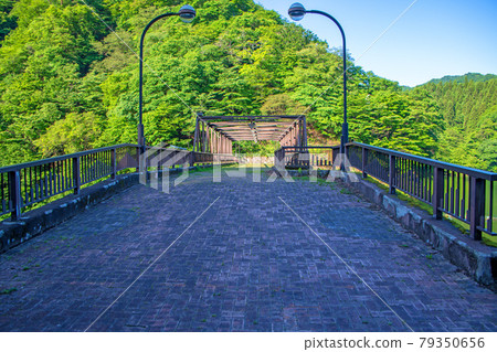Usui Lake Sakamoto Dam Dam top promenade Early summer surrounding scenery 79350656