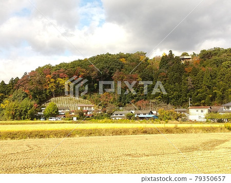 福島縣福島市大座莊的秋葉 福島縣福島市大座莊的秋葉 79350657
