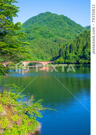 臼井湖坂本水壩從壩頂散步到夢之瀨橋方向 初夏周邊景色 臼井湖坂本水壩從壩頂散步到夢之瀨橋方向 初夏周邊景色 79350812