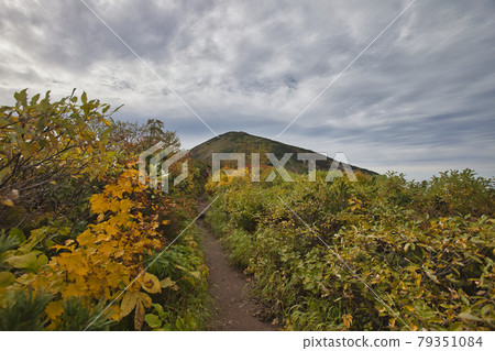 Autumn Mt. Hiuchi trekking 79351084