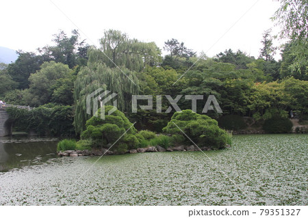 Scenery of Busan, South Korea Scenery of Busan, South Korea 79351327