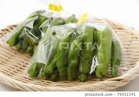 袋裝石獅 79352141