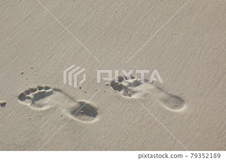 Footprints of the sandy beach Footprints of the sandy beach 79352189