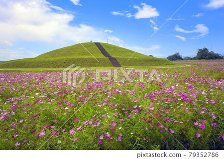 Kofun and autumn cherry blossoms Kofun and autumn cherry blossoms 79352786
