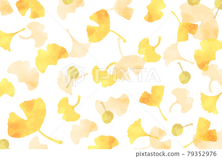 柔和的水彩銀杏背景圖 79352976
