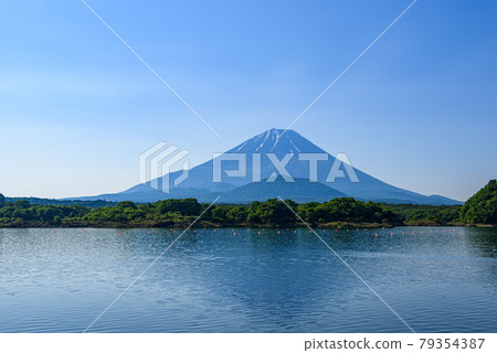 (Yamanashi Prefecture) Upside-down Mt. Fuji and blue sky reflected in Lake Shoji (Yamanashi Prefecture) Upside-down Mt. Fuji and blue sky reflected in Lake Shoji 79354387