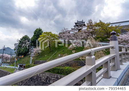 Fukuchiyama City, Kyoto Prefecture Spring Fukuchiyama Castle Park and Shoryu Bridge 79354465