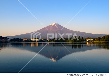 (Yamanashi Prefecture) Mt. Fuji and Lake Kawaguchi in the sunrise (Yamanashi Prefecture) Mt. Fuji and Lake Kawaguchi in the sunrise 79354813