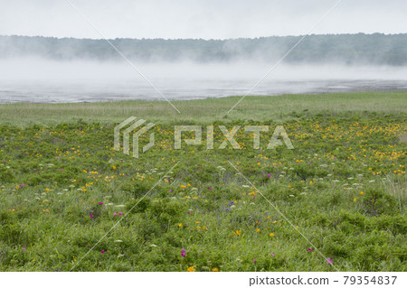 Notsuke Peninsula 79354837