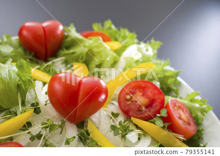 迷你番茄愛子 迷你番茄愛子 79355141