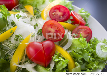 迷你番茄愛子 79355145