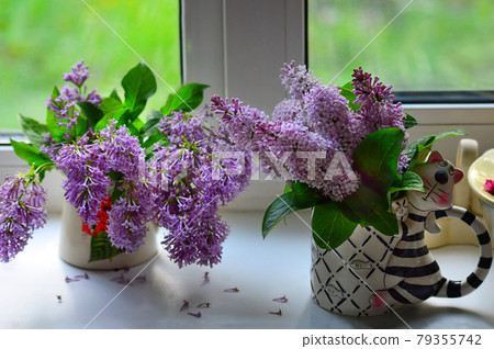 Bouquets of lilacs in two glass vases on the windowsill. One vase in the form of a tabby cat. Interior decoration. 79355742