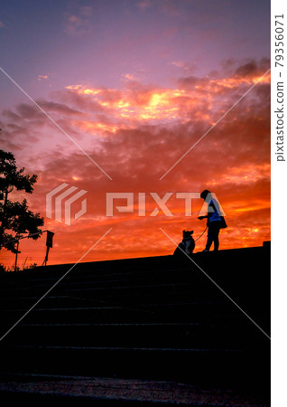 山手台北公園的日落和剪影，和我的狗，6 月 21 日，日本寶塚 79356071