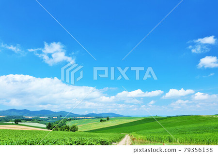 北海道:清新的夏日藍天和美瑛的風景 北海道:清新的夏日藍天和美瑛的風景 79356138