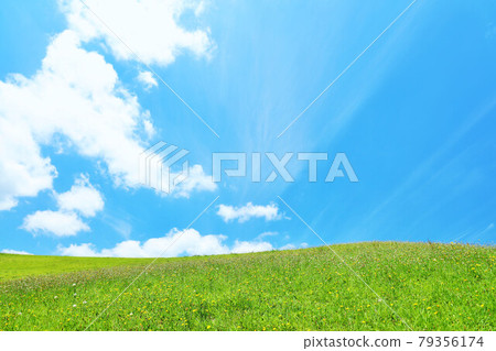 夏天的藍天和新鮮的綠色草地景觀 夏天的藍天和新鮮的綠色草地景觀 79356174
