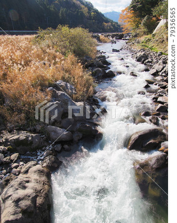 Mie Prefecture Hakusan Town River Park Mami's Kumozu River and Subsidence Bridge Mie Prefecture Hakusan Town River Park Mami's Kumozu River and Subsidence Bridge 79356565