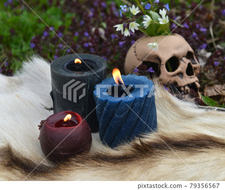 Beltane ritual with burning candles and skull with flowers outside. Esoteric, gothic and occult background, Halloween mystic and wicca concept. Beltane ritual with burning candles and skull with flowers outside. Esoteric, gothic and occult background, Halloween mystic and wicca concept. 79356567