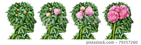 Brain Development Brain Development 79357260