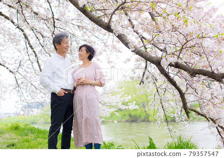 吉野櫻花樹 享受櫻花的老夫婦複製空間右側 吉野櫻花樹 享受櫻花的老夫婦複製空間右側 79357547