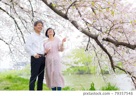 吉野櫻花樹 享受櫻花的老夫婦複製空間右側 吉野櫻花樹 享受櫻花的老夫婦複製空間右側 79357548