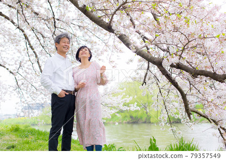 吉野櫻花樹 享受櫻花的老夫婦複製空間右側 吉野櫻花樹 享受櫻花的老夫婦複製空間右側 79357549