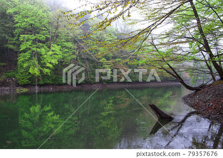 Juniko 16 Juniko 16 79357676