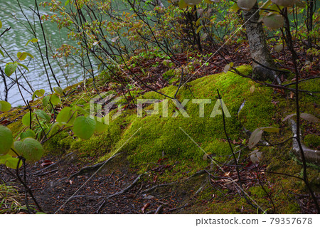 Juniko 18 Juniko 18 79357678