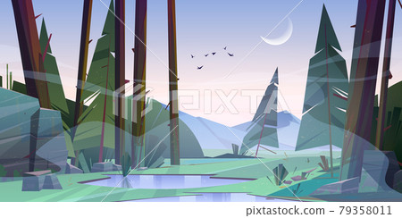 Forest at early foggy morning scenery landscape Forest at early foggy morning scenery landscape 79358011