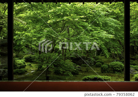 Shokoji寺 Shokoji寺 79358062