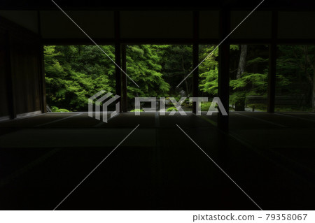 Lotus Temple 79358067