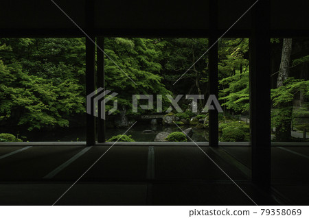 Lotus Temple 79358069