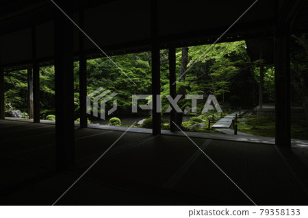 Lotus Temple 79358133