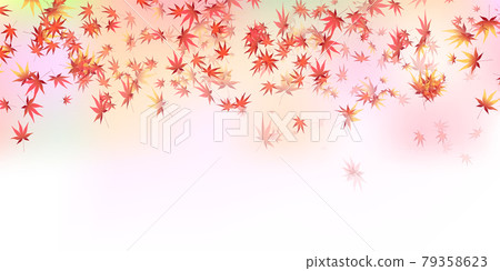 秋葉槭樹秋天背景 秋葉槭樹秋天背景 79358623